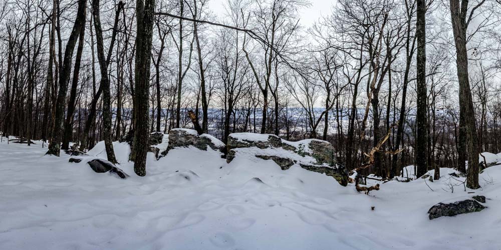 Overlook next to trail with a view to the east heavily obscured by tree branches